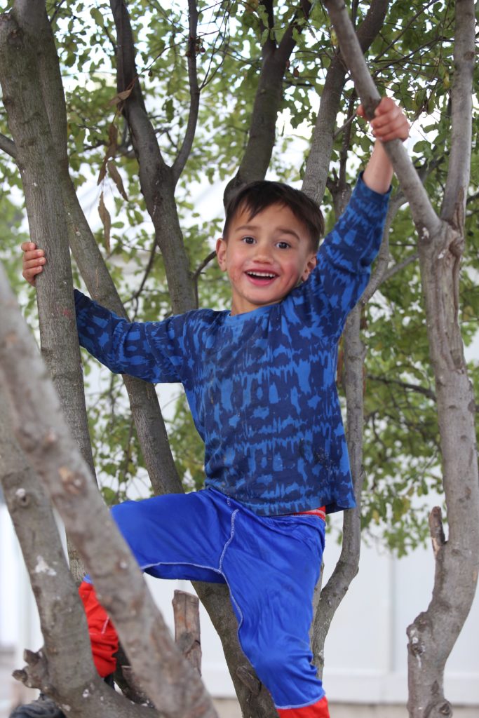 Hawkes Bay Childrens Holding Trust boy climbing a tree